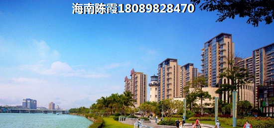 碧桂园·城市花园活动现场